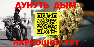 сатива Абакан