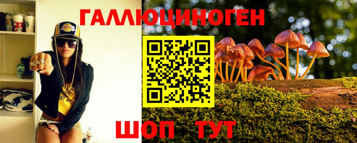 Псилоцибиновые грибы мицелий Алушта